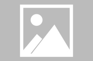 开云-爱游戏-【罗甲】佩特罗鲁vs赫曼施塔特首发阵容名单(2025年08月17日)